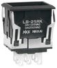 NKK SWITCHES LB25RKW01