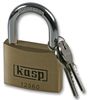 KASP SECURITY K12560
