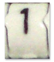 RAYCHEM - TE CONNECTIVITY STD06W-1