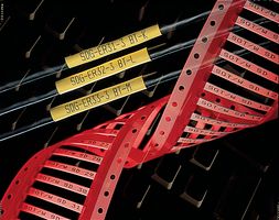 RAYCHEM - TE CONNECTIVITY RPS-6-250/2.0-9